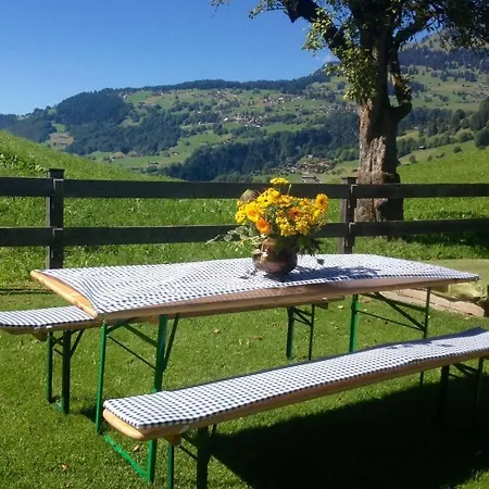 Cresta - 9,5-zimmerhaus Fuer 19 - 20 Personen, 270m2 度假居